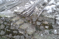 Winter Neumagen-Dhron
