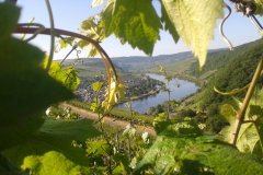 Neumagen-Dhron