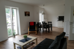 Wohnzimmer / Küche